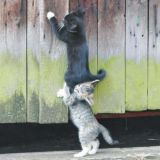 Помощь в беде друзьям в РД