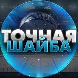 Точная Шайба