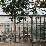 Тимирязевский радиус