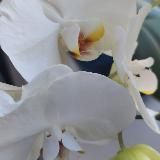 baza_optom_roznica_p_rezervv