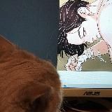 🎃Полное дайджобу🎃