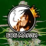 Bob Marley | Конкурсы-Раздача