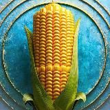 Аугсбург LiVE