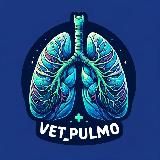 Vet_pulmo