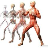 ❗ЛФК ФИТНЕС ДИЕТОЛОГИЯ РЕАБИЛИТАЦИЯ МАНУАЛЬНАЯ ТЕРАПИЯ БИОХИМИЯ АДАПТИВНАЯ