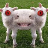 Еб@ть смешно