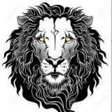 КриптоBlogИнвестора