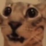 𝐎𝐟𝐟𝐢𝐜𝐢𝐚𝐥 {𝐄𝐦𝐩𝐢𝐫𝐞}'𝐬