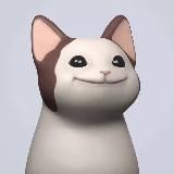 чому я не кіт