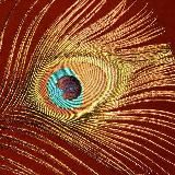 Телесные Тонкости