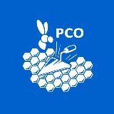 Труд Крут | РСО Тамбов