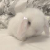 ˚ʚ♡ɞ˚васькк˚ʚ♡ɞ˚