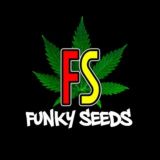 🌱 FUNKY LEGAL NEWS ☀️