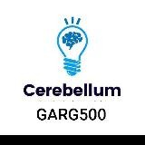 Cerebellum Academy Notes