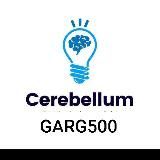Cerebellum Academy Mission Notes