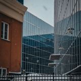 Лес, город и котики