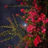 𝑬𝒙𝒕𝒂𝒛𝒚𝒚_161💋