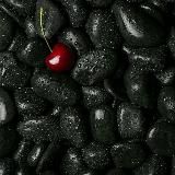 cherry🍒