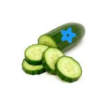 чат Огуречный канал/разбор полетов