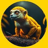 Природа Амазонии | Путешествия