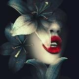 Курсы Гайды Чек Листы