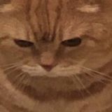 посиделки геев