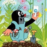 Кладмен мудак