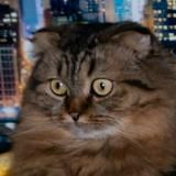 🌾 Вятская интернет-аристократія | ВИъА