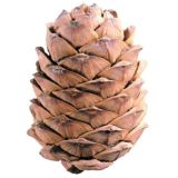 Народ. #Приморский край. #Владивосток. 🌲🌲🌾🌲🌲🏊