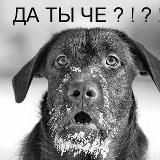 Интересные истории и факты👍Лайфаки, скидки☝️