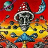 Грибы мухоморы 🧠