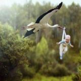 ❀༗༗✠ⒶⓂⒺⓇⒾⓀⒶⓃⓄⓁⒶⓇ✠༗༗❀