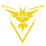 黃隊 香港島(公開)