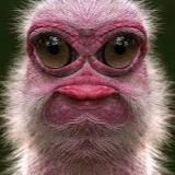 Шлепки майонезные 😘