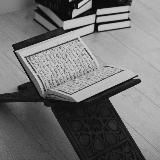 TAUH١D прежде всего…