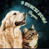 🏠 Помощь животным г. Видное