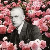 Сборник Маргариты Верховенской