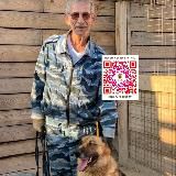 Приют для бездомных животных и списанных служебных собак «Гвардия»