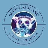 Стоп тревога 🧘🏻♀️🪁