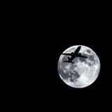 Красивые Цитаты