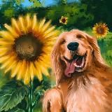 МАК «Ответы подсознания»