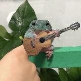 Лягушатник