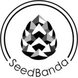 𝓢𝓮𝓮𝓭𝓼, 𝓖𝓻𝓸𝔀, 𝓦𝓮𝓮𝓭🌱