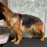 Общага аджики🤎🐾