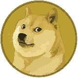 ДЕВУШКА В БЕТТИНГЕ