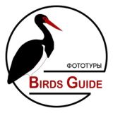 Birds Guide