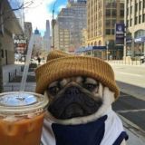 𝐇 𝐄 𝐍 𝐒 𝐘 🕊