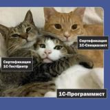 Подготовка к собеседованиям по 1С и задачи по программированию.