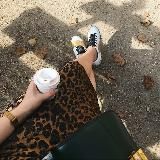 aesthetic intelligence