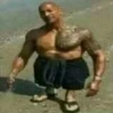 COIN BRUTE Storage️